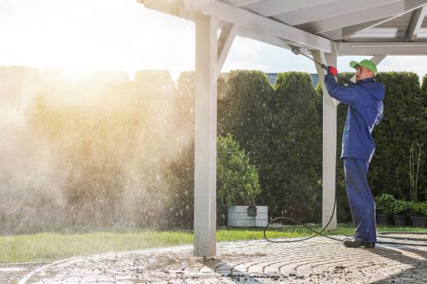 Best Roof Washing  in Williston, SC